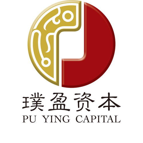 上海璞盈投資管理 穩健與全球視野下的新戰略