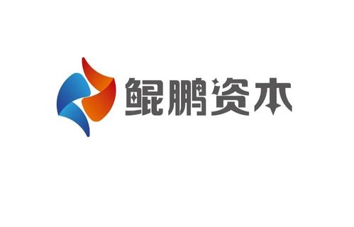 深圳鯤鵬資本的投資布局與管理創新之道